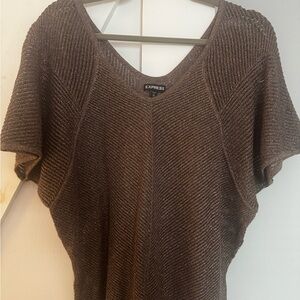 Express Metallic Brown Sweater